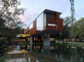 school of art & art history