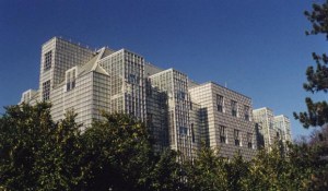 Cognac-Jay Cognac-Jay