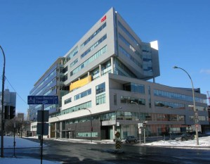 cite multimedia phase 8