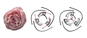 Damascus Rose Concept