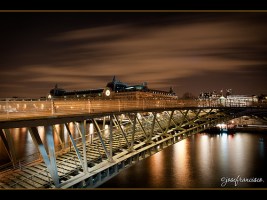 Passerelle Lopold-Sdar-Senghor