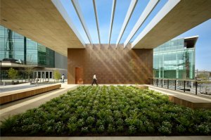 Bill-and-Melinda-Gates-Foundation-NBBJ-10