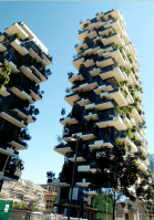 Bosco Vertical yes 3