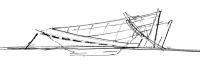 Minnesota Viking 1