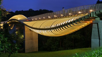 wallpaper-Henderson-Waves-Bridge-suitable-for-roads-in-singapore