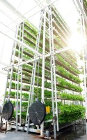 skygreens-vertical-farm-22