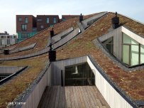 1414251756-gS56YMcCGYw