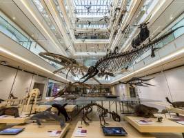 matteo-de-stefano-muse-museo-delle-scienze.mb.0006ci