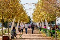 Klyde Warren Park in Dallas. Photography by Mei-Chun Jau.