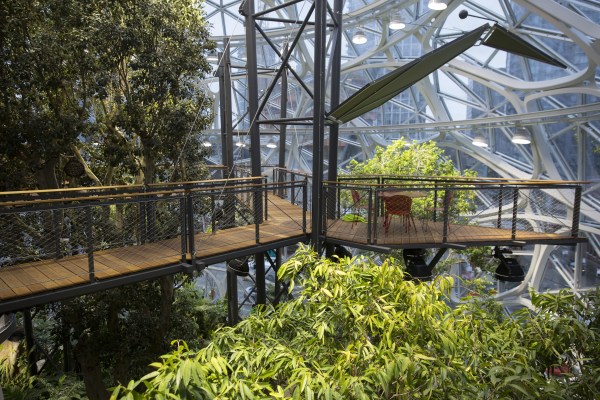 Inside Amazon's Giant Spheres, Where Workers Will Chill In A Mini Rainforest